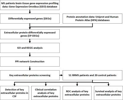 Identification and Clinical Validation of Key Extracellular Proteins as the Potential Biomarkers in Relapsing-Remitting Multiple Sclerosis